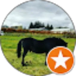 Review From Kobe Biga