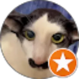 Review From Leovano Adias