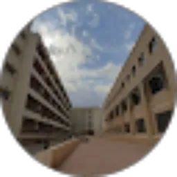 Review From Sarman Nur