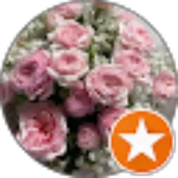 Review From Fitri Anisah