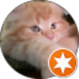 Review From Anindita Widyaningrum