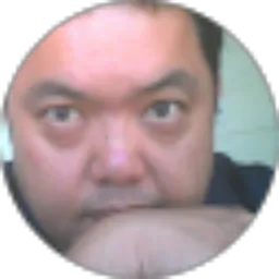 Review From Andre Untung
