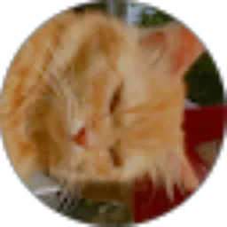 Review From Elsy kurnia Putri