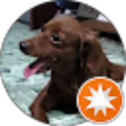 Review From Momondud