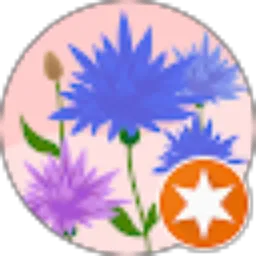 Review From Asyfa Sabana