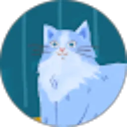 Review From Mokka Koko