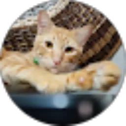 Review From Dilla Fadilla