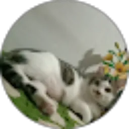 Review From Farahdy Sumeera