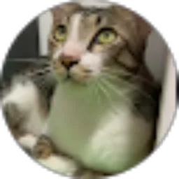 Review From Nazwa 123