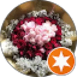 Review From Sasya Deva