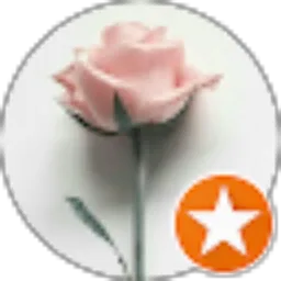 Review From Endah Lestari