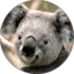 Review From Merta Dana