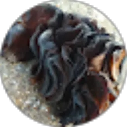 Review From Sang Pengembara