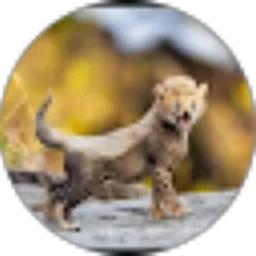 Review From Arie Noor Rachman