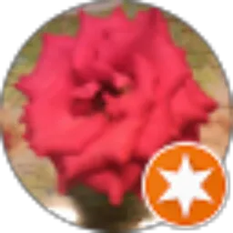 Review From singgih purba