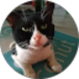 Review From Yully Ana