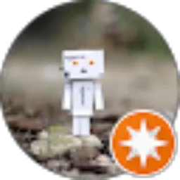 Review From Syaiful Amri