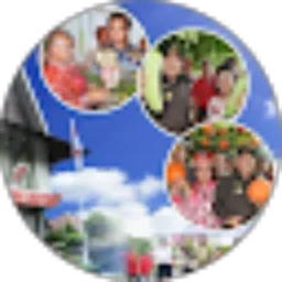 Review From Ervi Yanto