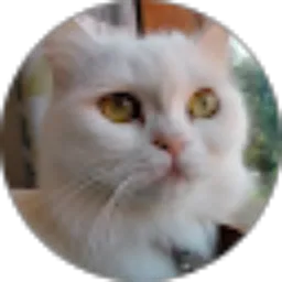 Review From sri “Acik” susanti