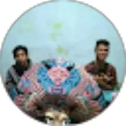 Review From Ferry Rifda