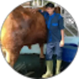 Review From Jasis Jasriadi