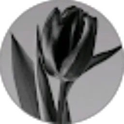 Review From Tiie Nazhifa