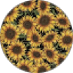 Review From Tito Bima