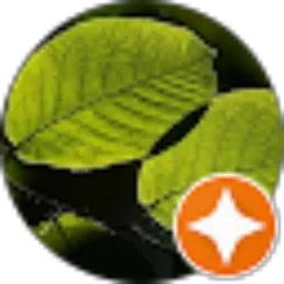 Review From Idham 12