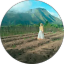 Review From Fitri Ardiana