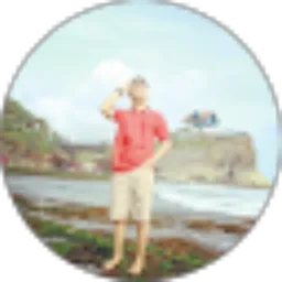 Review From Teguh Budianto