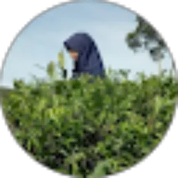 Review From Ulya Fajrin