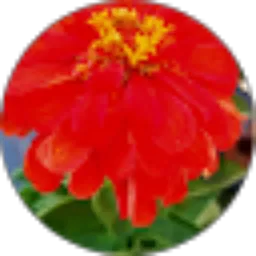 Review From ridha amelia