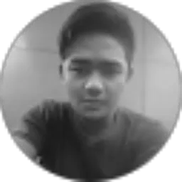 Review From Serizawa 971