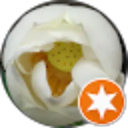 Review From Hendry T