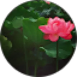 Review From Dian Saras