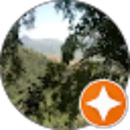 Review From Muhamad Efendi