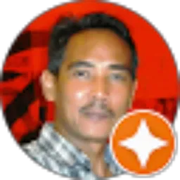 Review From Ari Wibowo