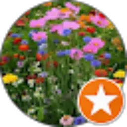 Review From Echa Zenitha