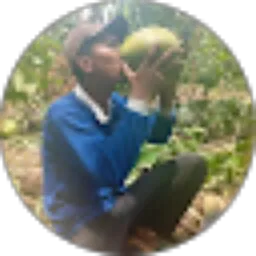 Review From cak irul