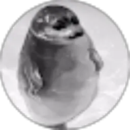 Review From Jevon Ivander K