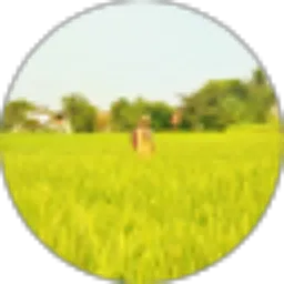 Review From Ani Apriani