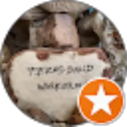 Review From David Poe Channel