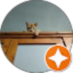 Review From Qori Soelaiman