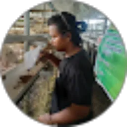 Review From Muhammad Irsyad