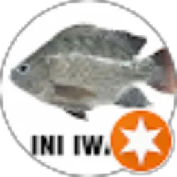 Review From Super Seiya