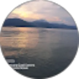 Review From Dipasol Audio