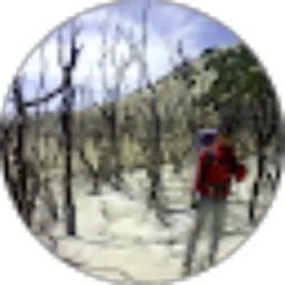 Review From Muhammad Arham Zamzami