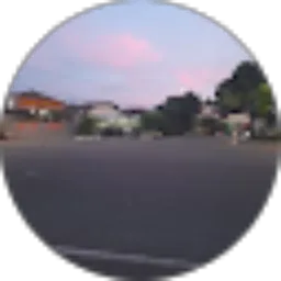 Review From Anindya Rani