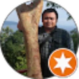 Review From Nova Fabianto