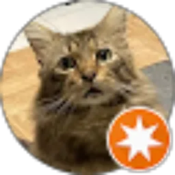 Review From Geret Koper